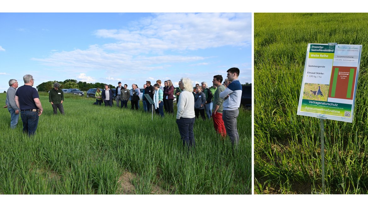 2 Fotos: Links: Menschen auf einem Acker mit Sommergerste. Rechts: Ein Schild mit Informationen zu der Maßnahme "Weite Reihe" steht im Gerstenfeld