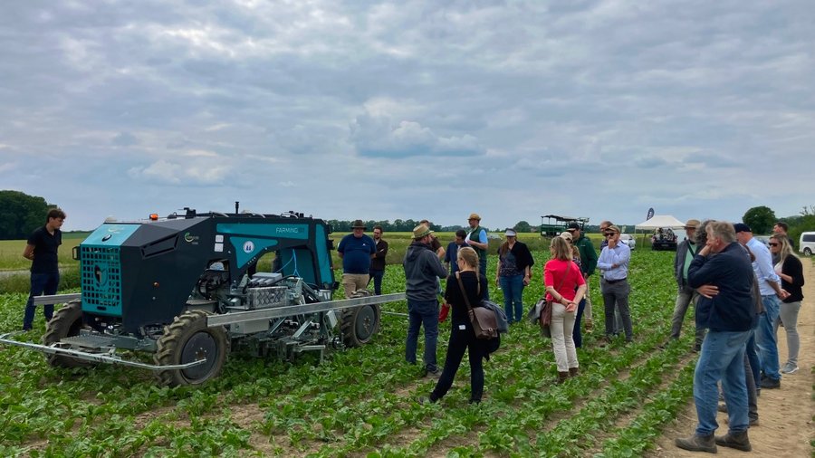 Roboter und Personengruppe auf Zuckerrübenfeld