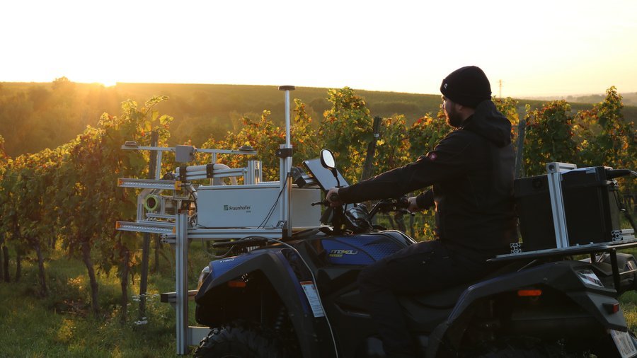 Das PHENOquad fährt durch einen Weinberg.