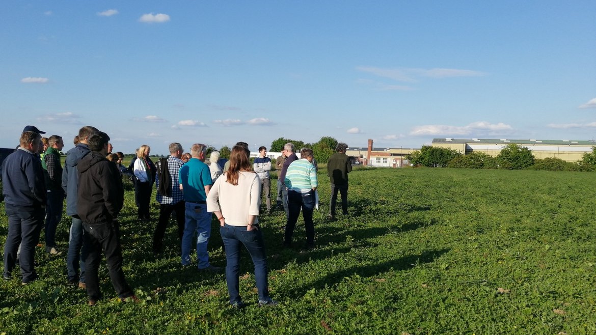 Menschen stehen auf einem Feld