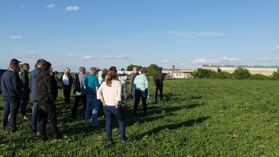 Menschen stehen auf einem Feld
