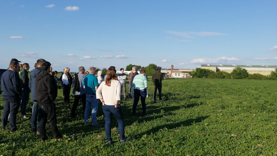 Menschen stehen auf einem Feld