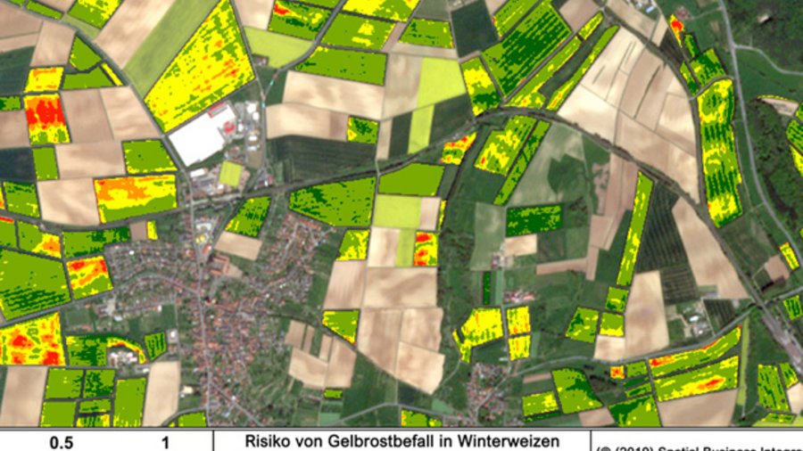 Landkarte mit Darstellung des Gelbrostrisikos bei Winterweizen