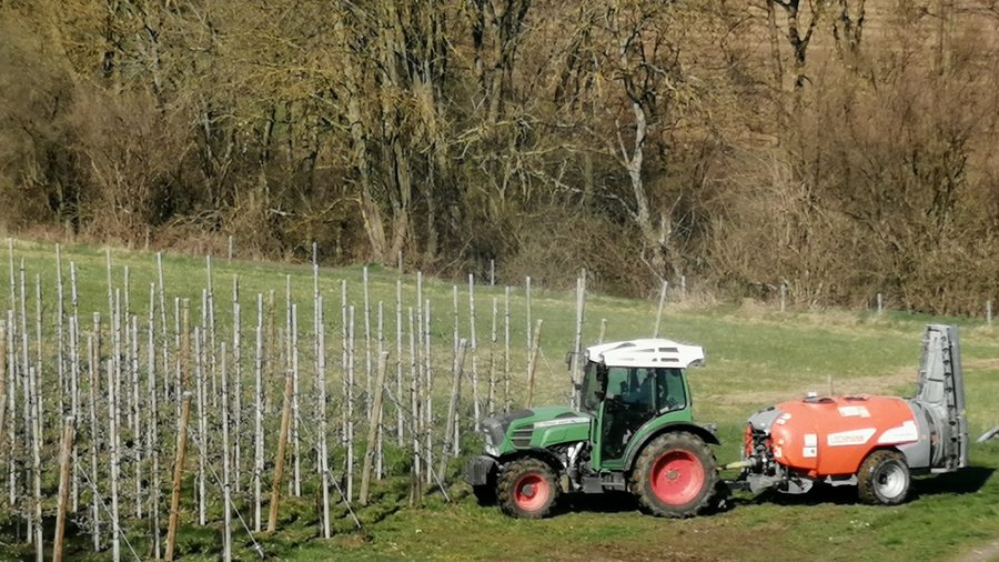 Traktor mit Sprühgerät vor einer Apfelanlage