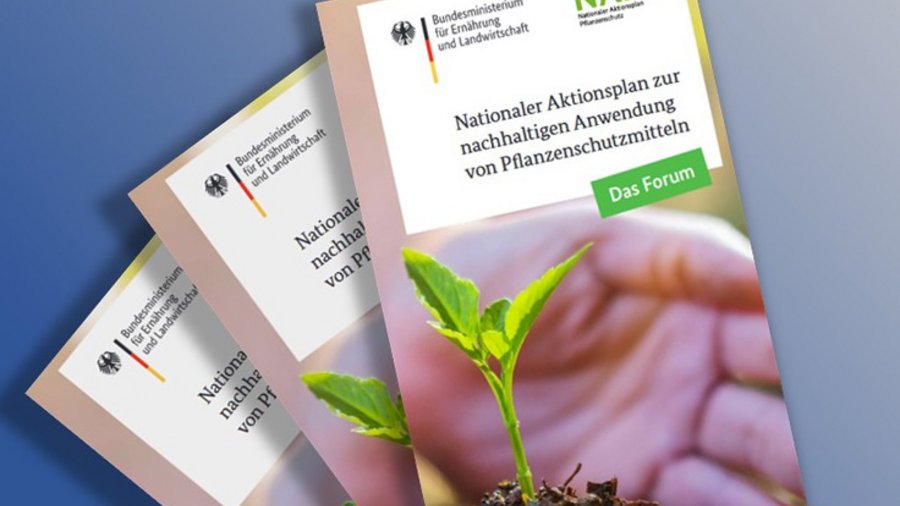 Titelausschnitt Flyer