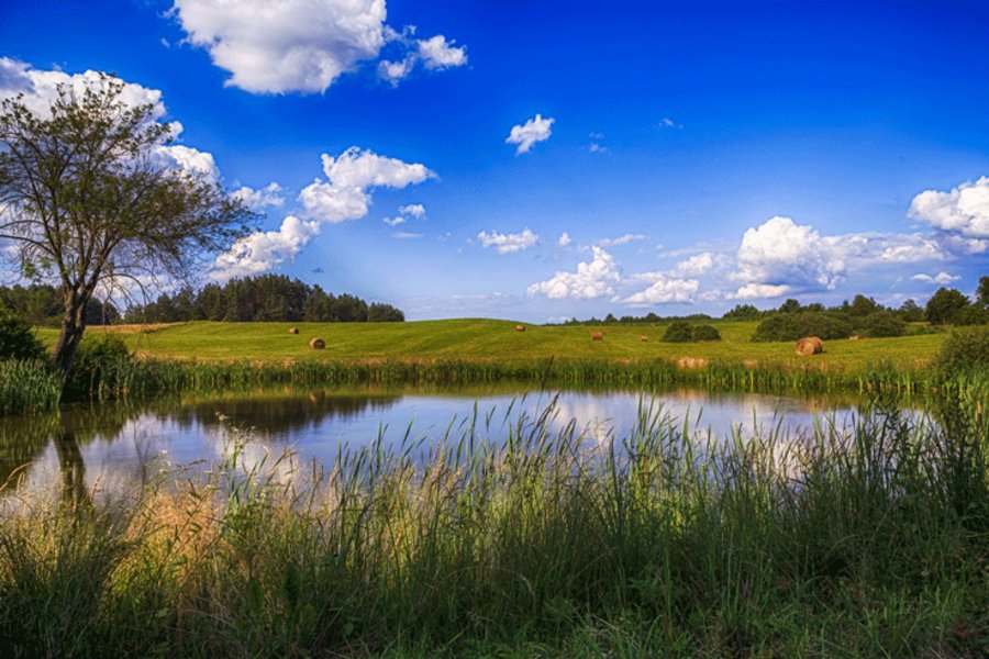 Heuballen auf dem Feld mit einem Teich