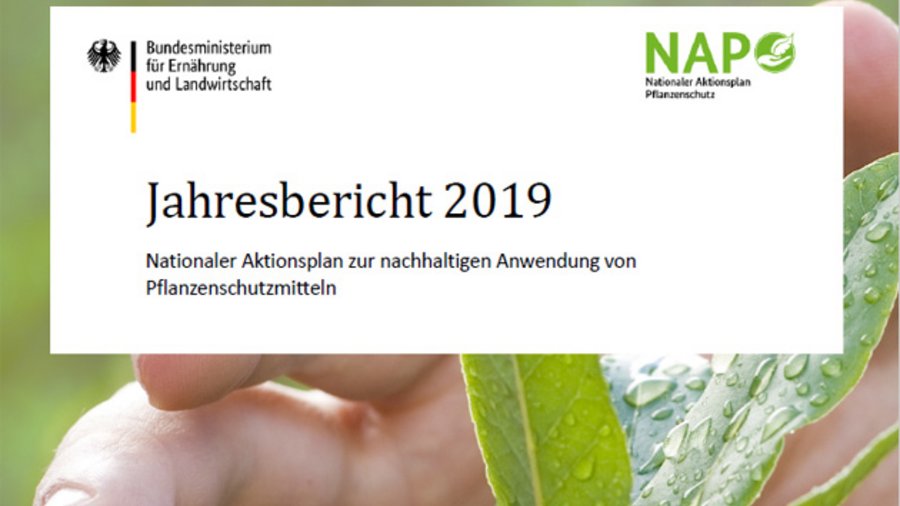 Ausschnitt aus dem Titelblatt der Broschüre