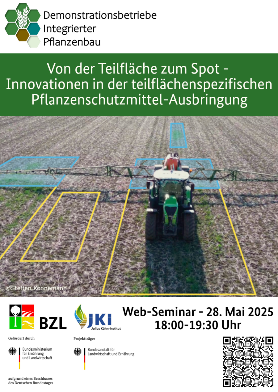 Flyer zum Web-Seminar