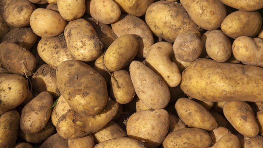 Kartoffeln