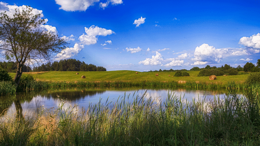 Teich in einem Feld mit Heuballen