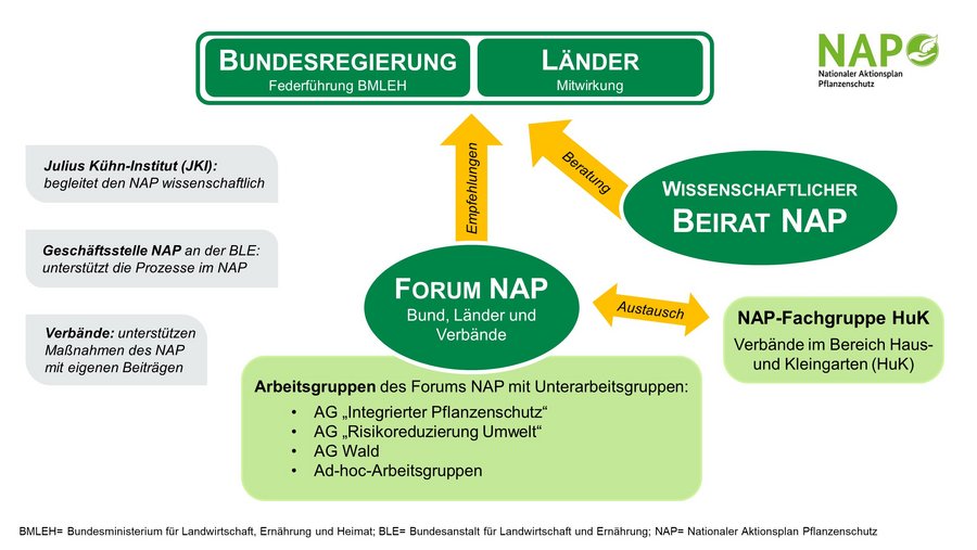 Übersichtsgrafik zu den NAP-Gremien:1) das Forum NAP  mit den Arbeitsgruppen "Risikoreduzierung Umwelt", "Wald" und"Integrierter Pflanzenschutz"  2) Wissenschaftlicher Beirat NAP  3) NAP-Fachgruppe Haus- und Kleingarten (HuK)