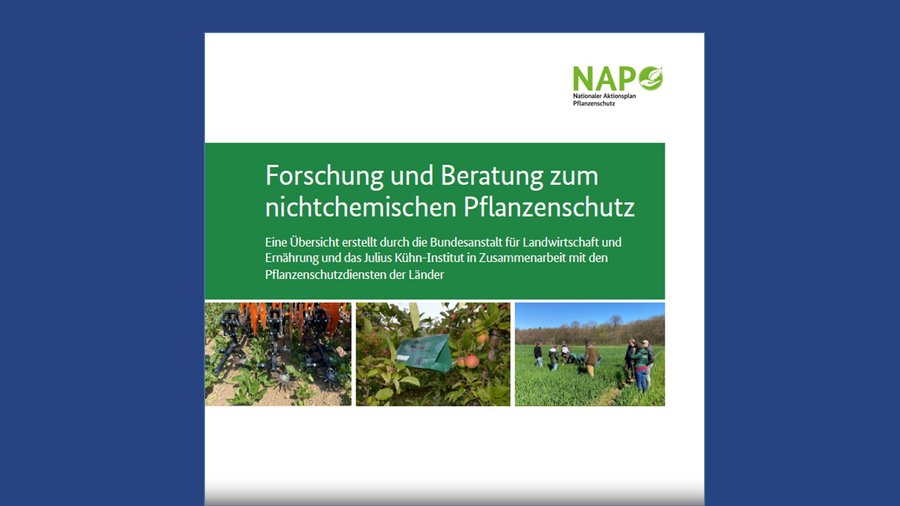 Titelseite der Broschüre