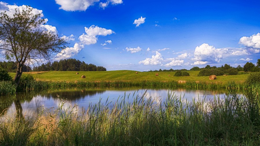 Teich in einem Feld mit Heuballen