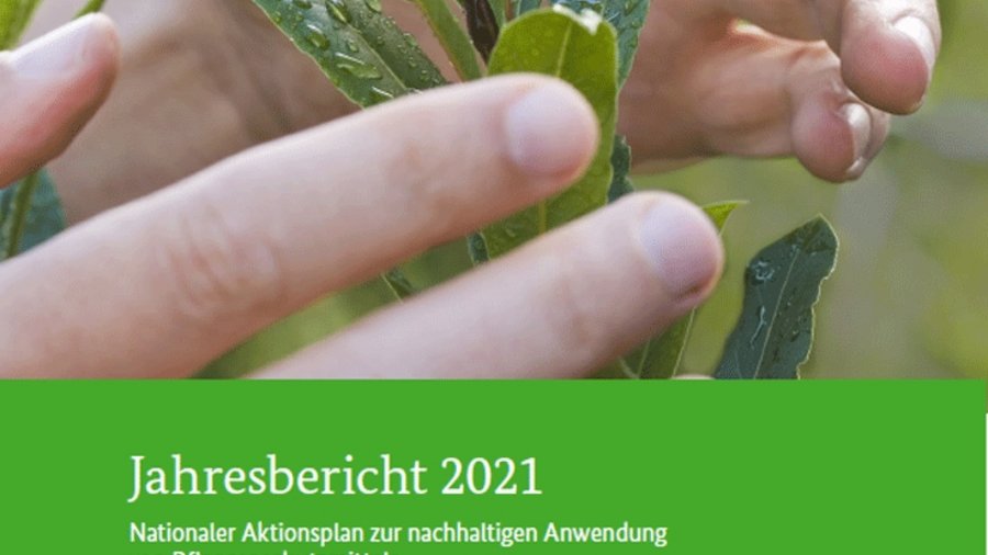 Titelbild Broschüre