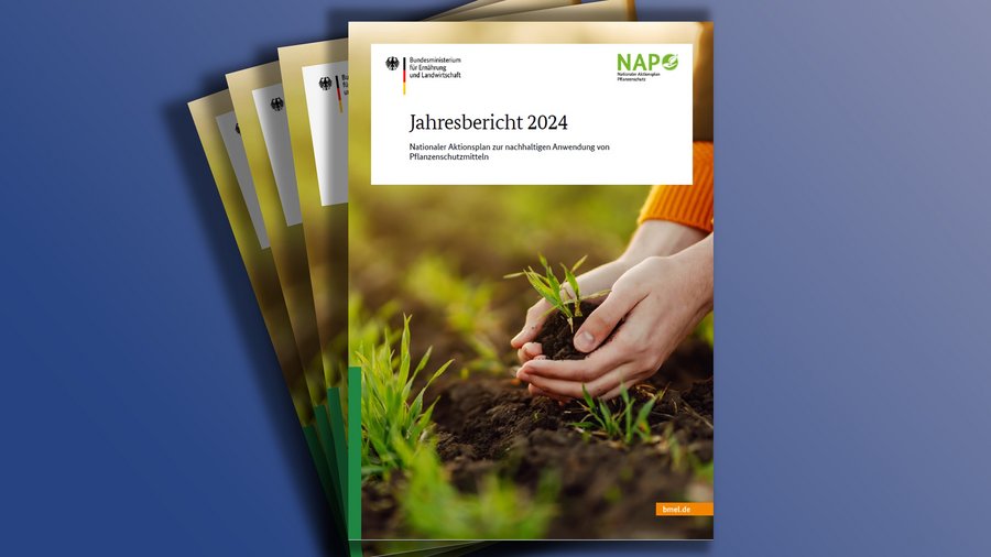 Titelseite der Broschüre "Jahresbericht 2024"