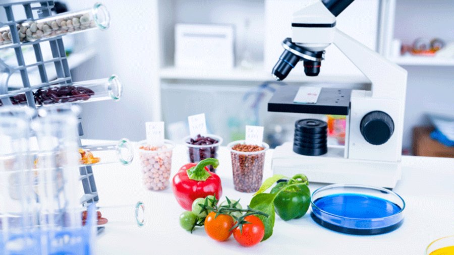 Chemisches Labor in den Lebensmittel überprüft werden
