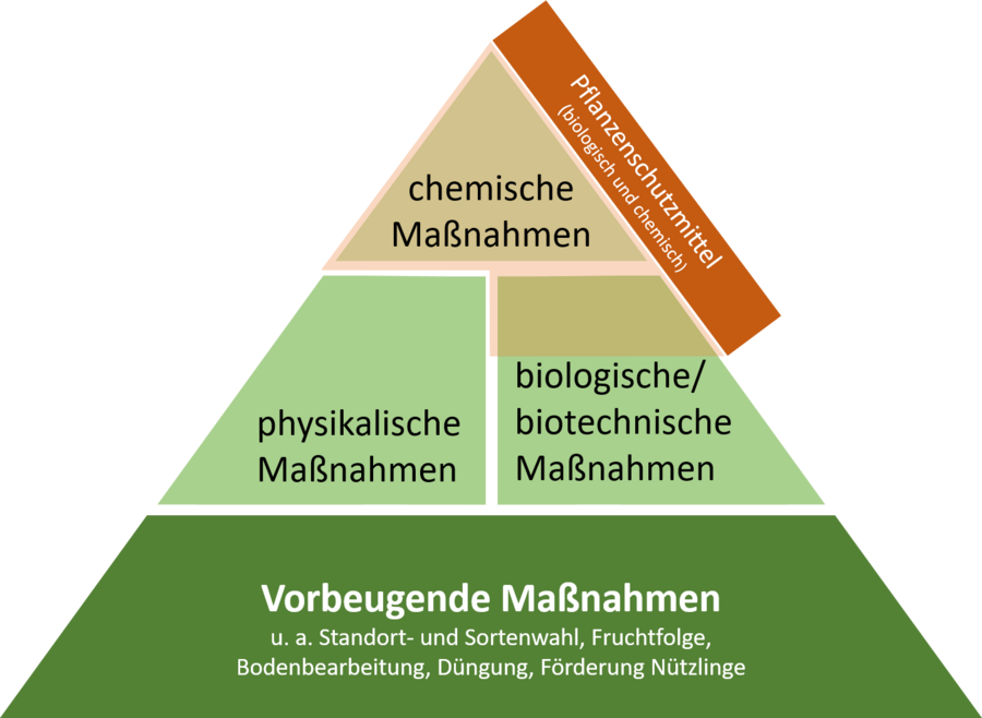 Maßnahmenpyramide