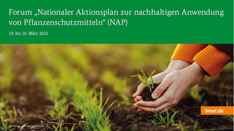Poster zum Forum NAP 2025