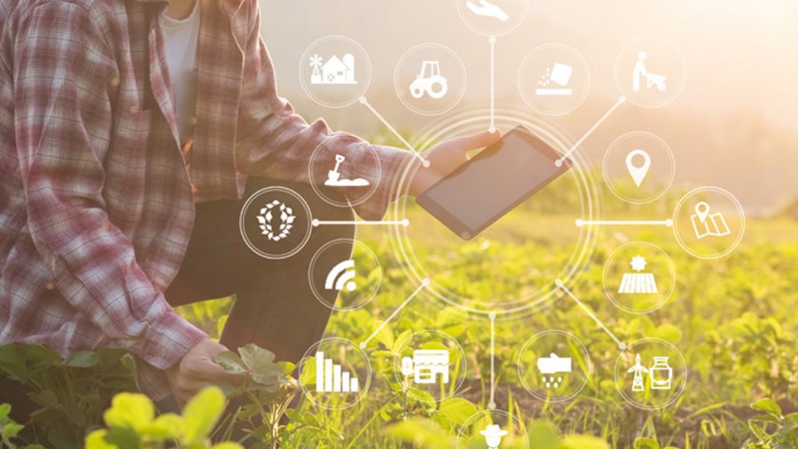 Mann mit Tablet-Computer auf einem Feld