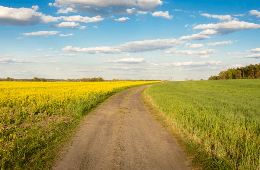 Weg zwischen zwei Feldern