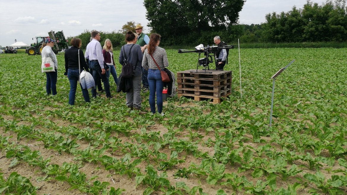 Personengruppe auf einen Zuckerrübenfeld
