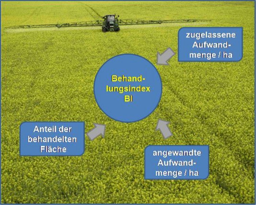 Berechnungsgrößen des Behandlungsindex.